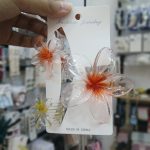 Crabe de Cheveux cra-p 20